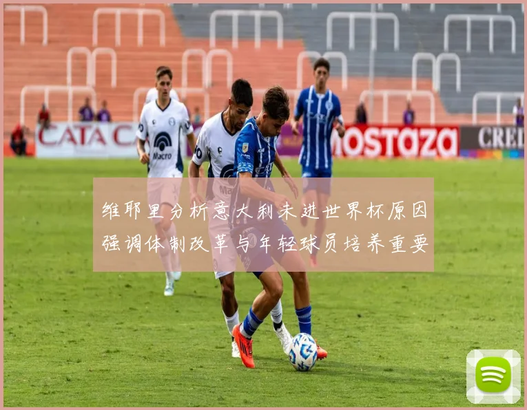 维耶里分析意大利未进世界杯原因强调体制改革与年轻球员培养重要性