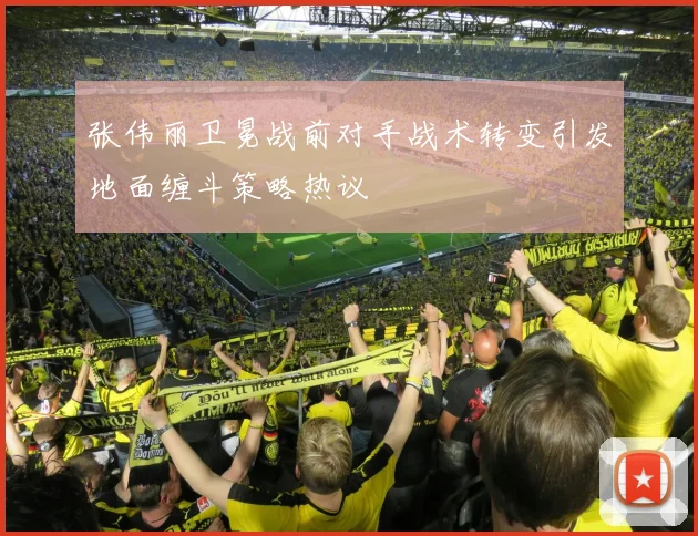 张伟丽卫冕战前对手战术转变引发地面缠斗策略热议