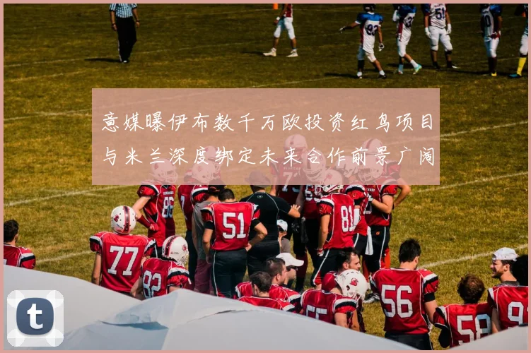 意媒曝伊布数千万欧投资红鸟项目与米兰深度绑定未来合作前景广阔